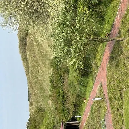 Klabautermann Maywald