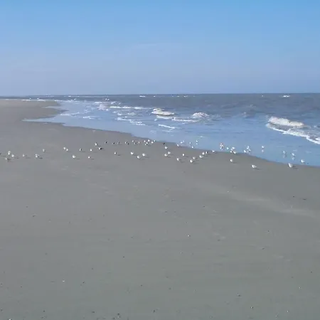 Klabautermann Maywald