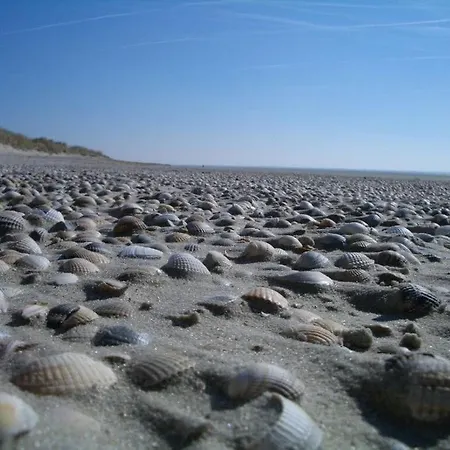 بيت للعطل Klabautermann Maywald جويست