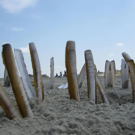 Klabautermann Maywald جويست