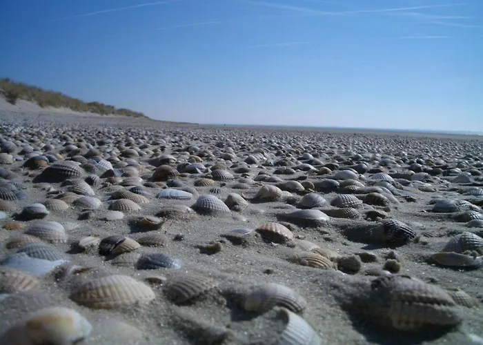 Klabautermann Maywald ユイスト