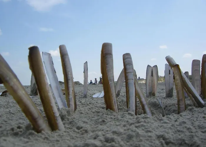 Klabautermann Maywald ユイスト